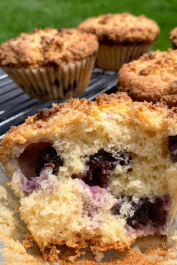 Sourdough Blueberry Muffins with Crumb Topping